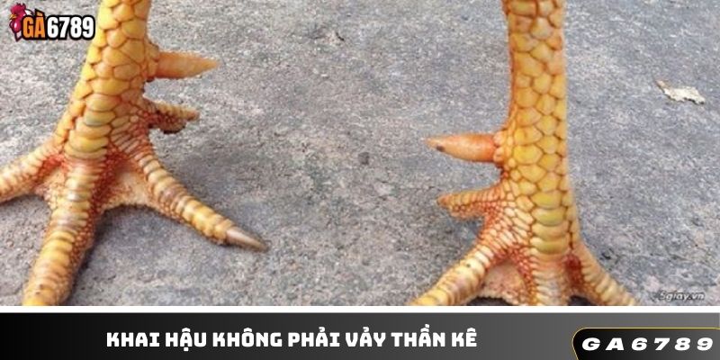 Vảy khai hậu không được đánh giá cao