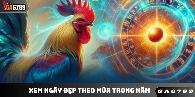 Xem ngày đẹp theo mùa trong năm